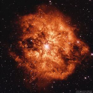 Meet your Posher, Madeline